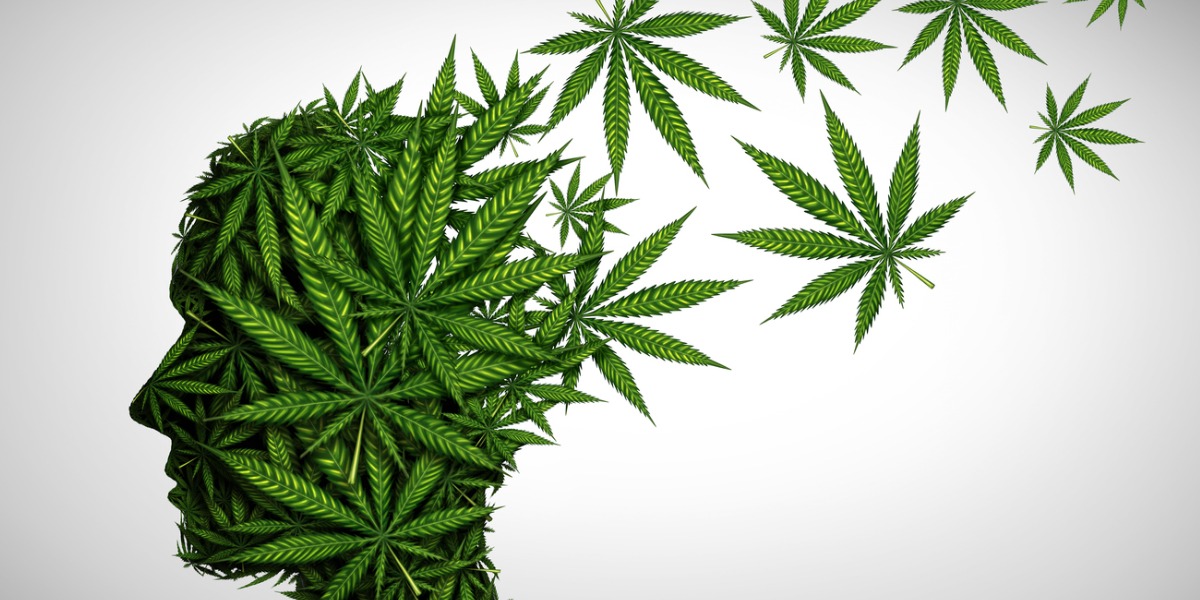 image of brain with marijuana leaves depicting impact on mental health