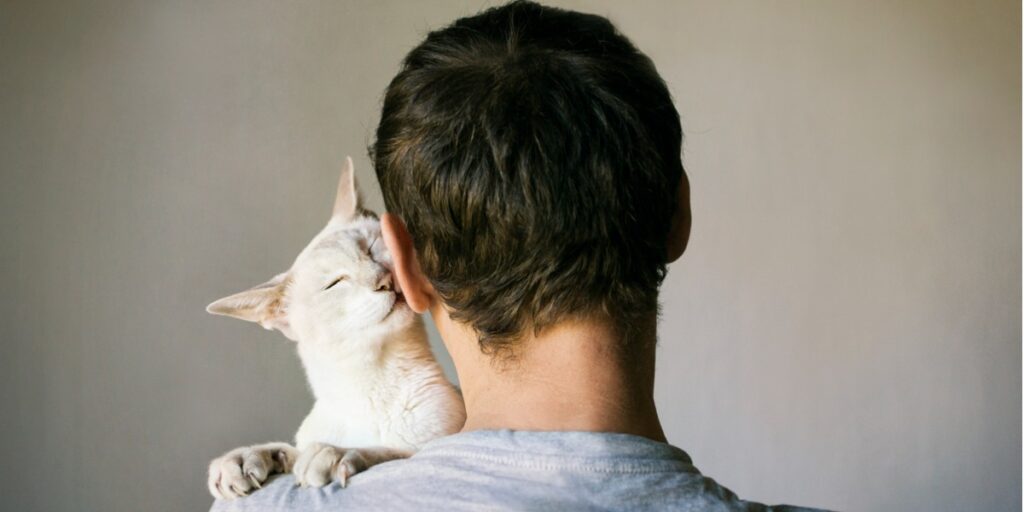 Can Owning a Cat Increase Risk of Schizophrenia?