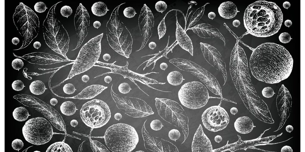 Can Ibogaine Help People With PTSD?